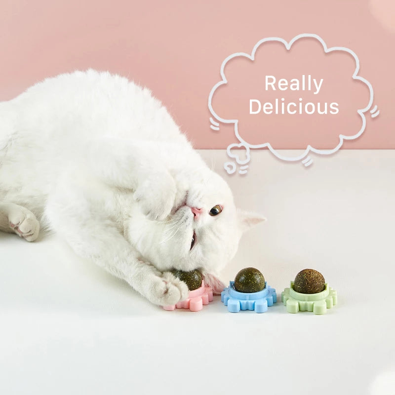 Catnip Toys