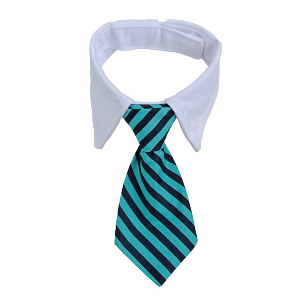 Neckties, Bow Ties & Tuxedo Suits