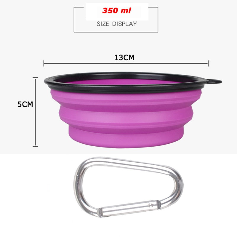 Collapsible Bowl