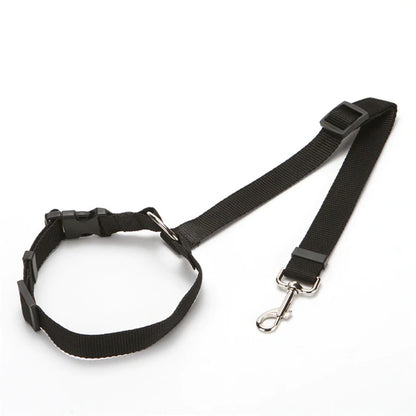 2 in 1 Seatbelt & Leash