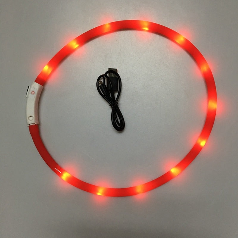 Rechargeable LED Collar