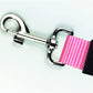 2 in 1 Seatbelt & Leash