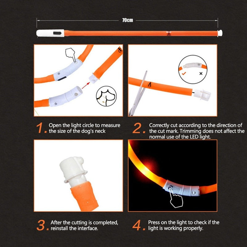 Rechargeable LED Collar