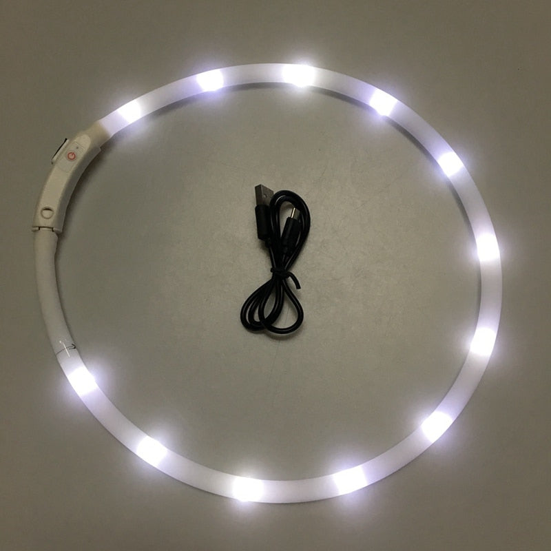 Rechargeable LED Collar