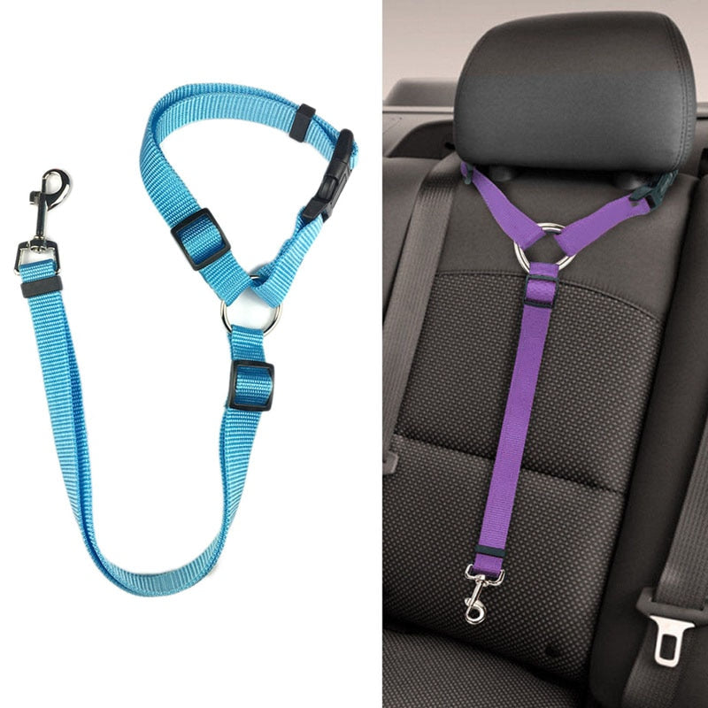 2 in 1 Seatbelt & Leash