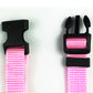 2 in 1 Seatbelt & Leash