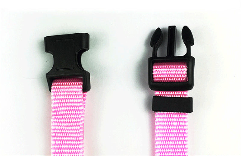 2 in 1 Seatbelt & Leash