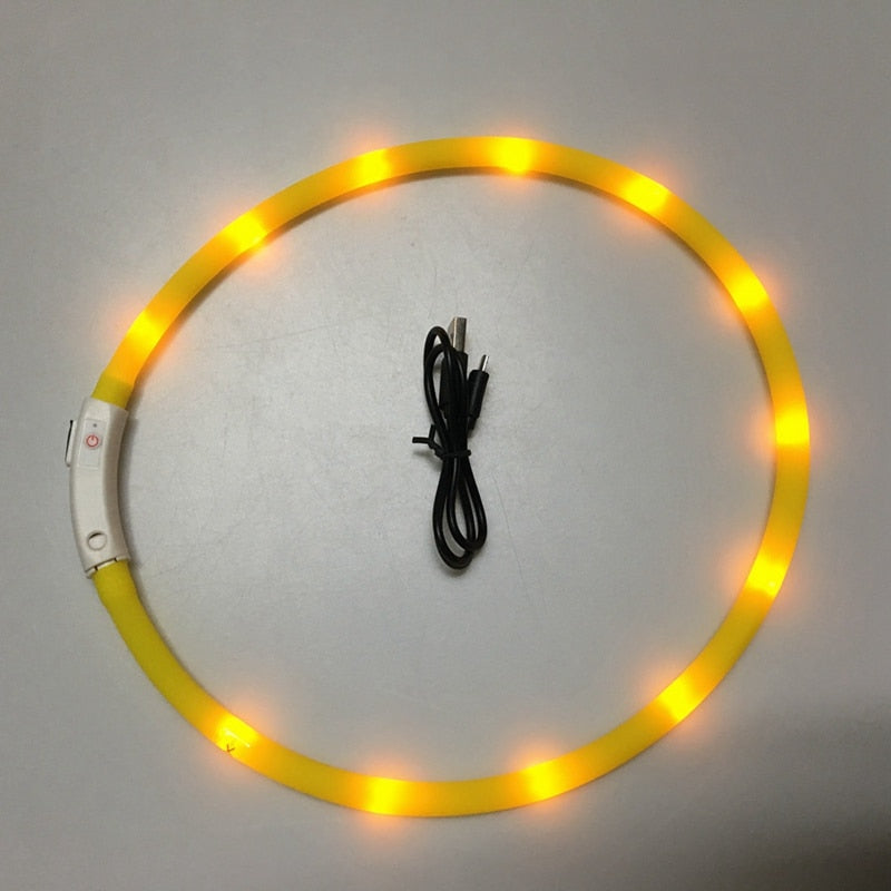 Rechargeable LED Collar