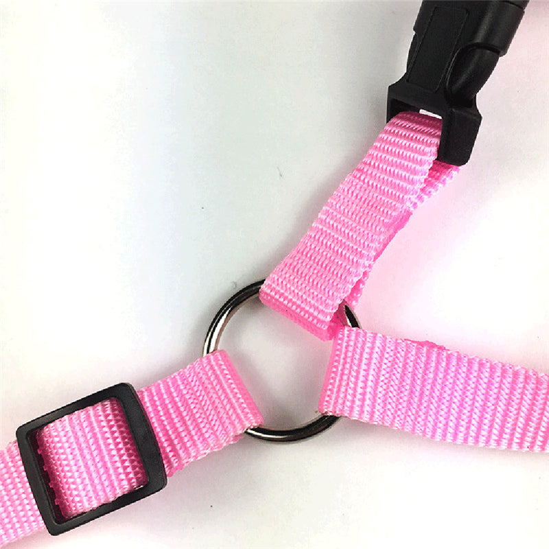 2 in 1 Seatbelt & Leash