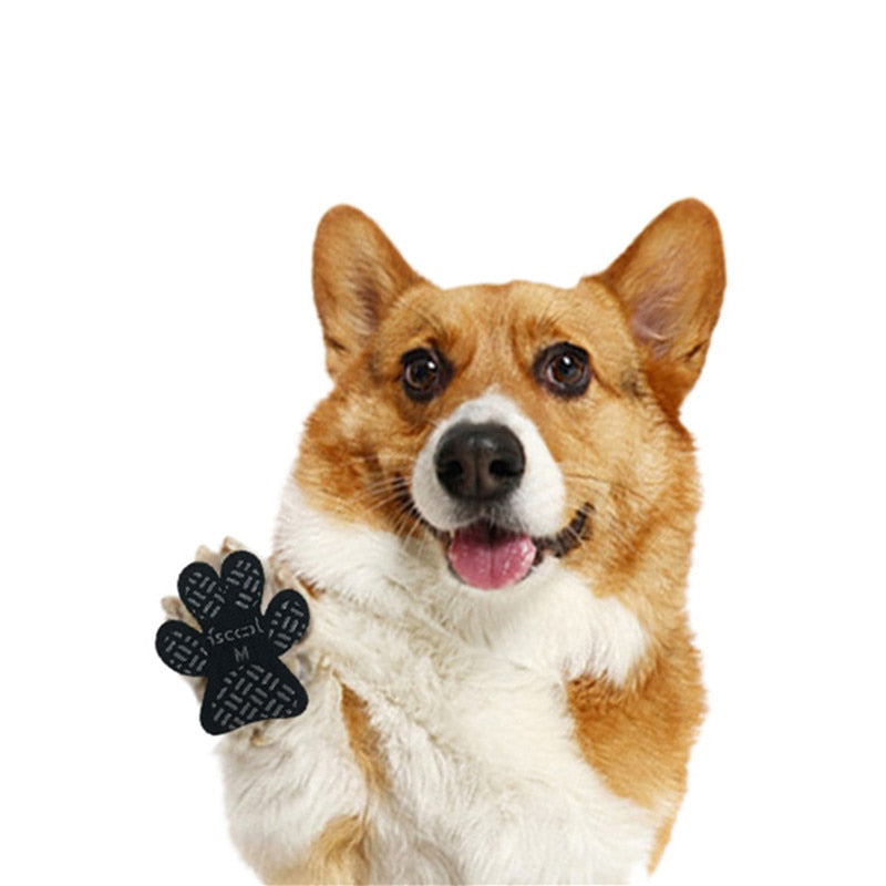 Anti-Slip Waterproof Paw Protectors