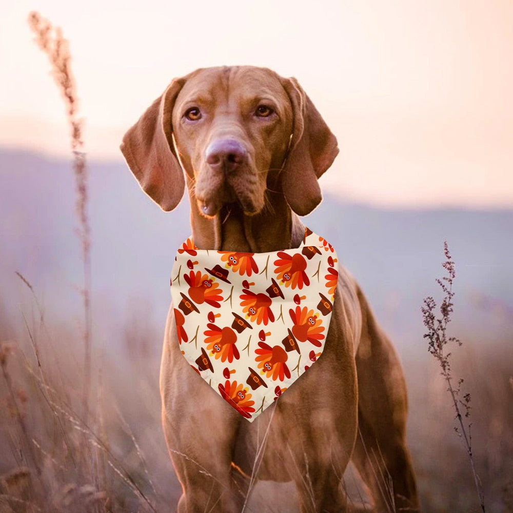 Autumn Themed Bandanas