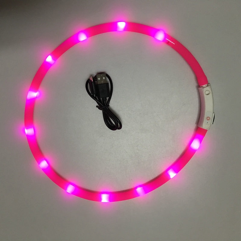 Rechargeable LED Collar