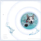 Anti-Slip Waterproof Paw Protectors