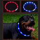 Rechargeable LED Collar