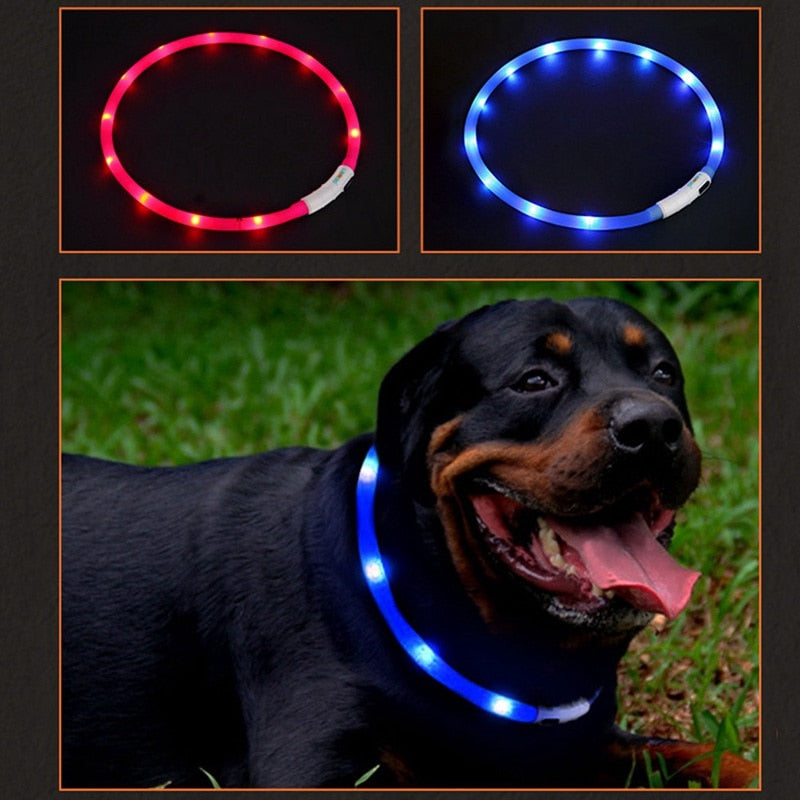 Rechargeable LED Collar