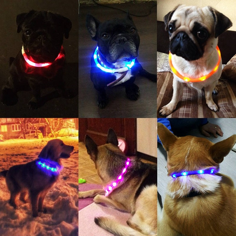 Rechargeable LED Collar