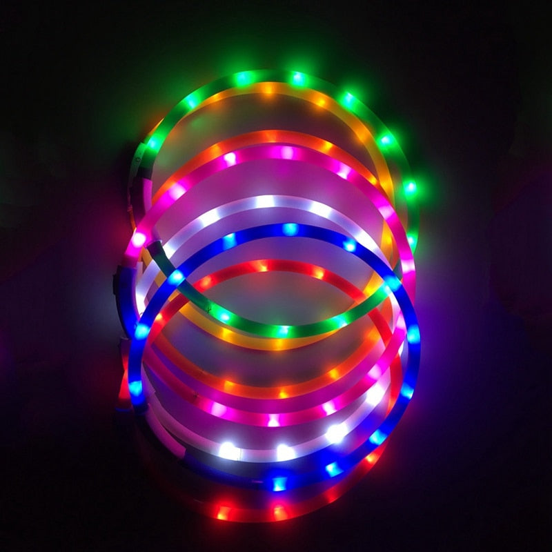 Rechargeable LED Collar