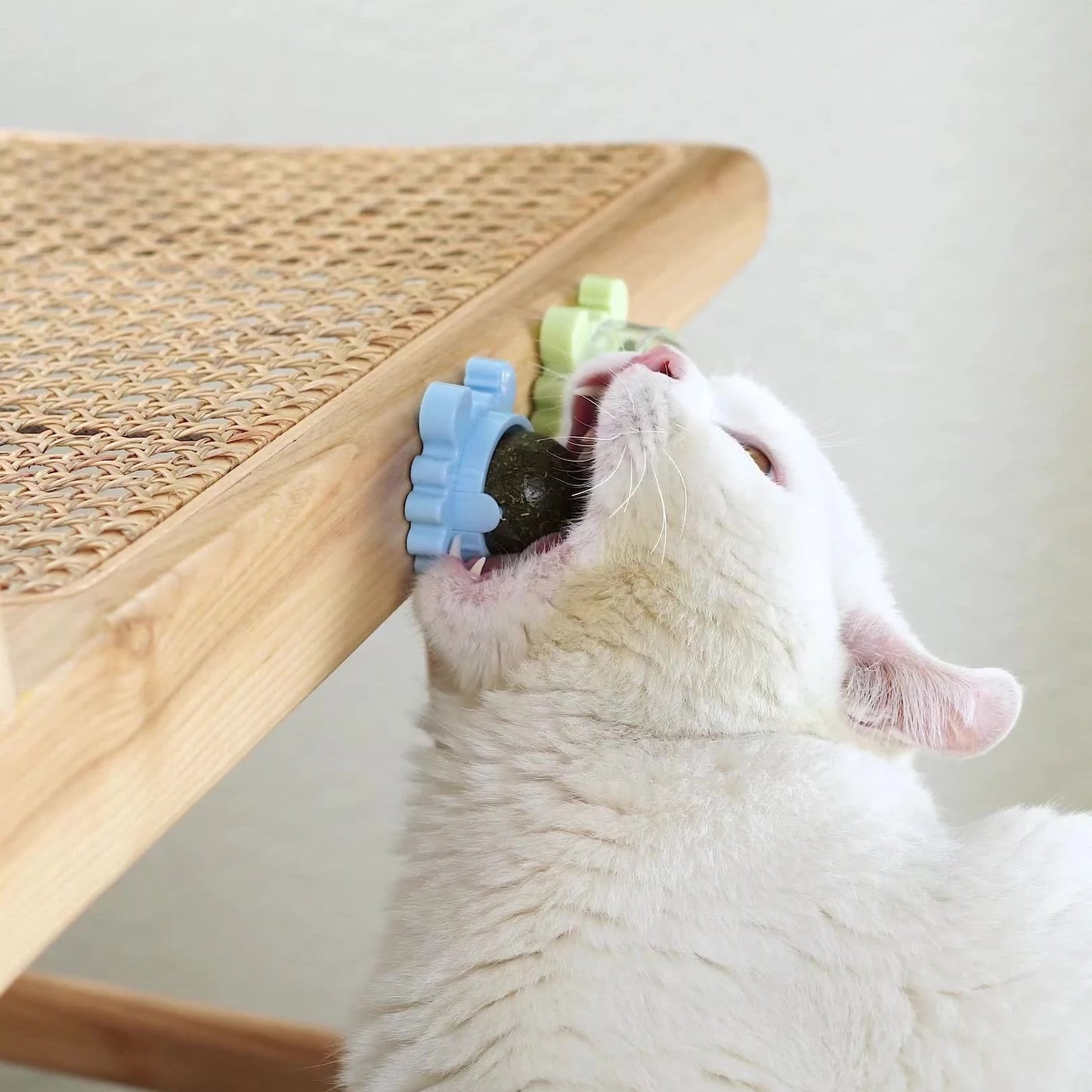 Catnip Toys