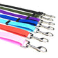 2 in 1 Seatbelt & Leash