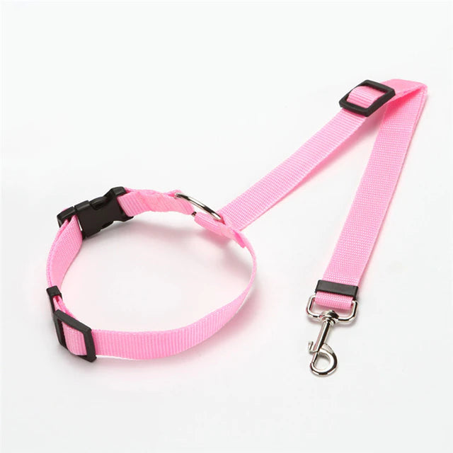 2 in 1 Seatbelt & Leash