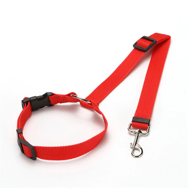 2 in 1 Seatbelt & Leash