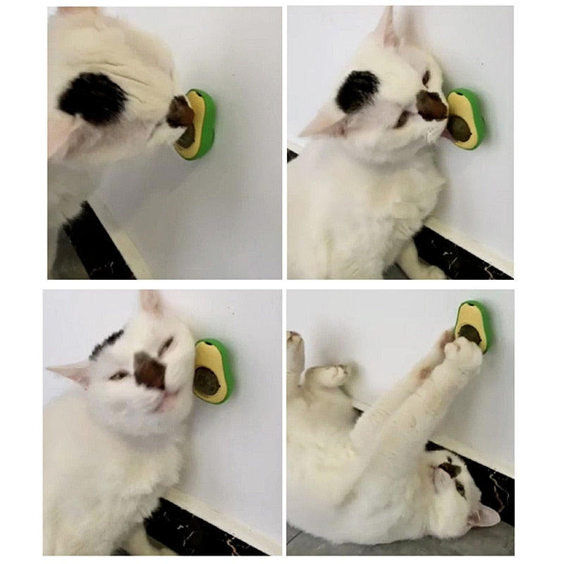 Catnip Toys