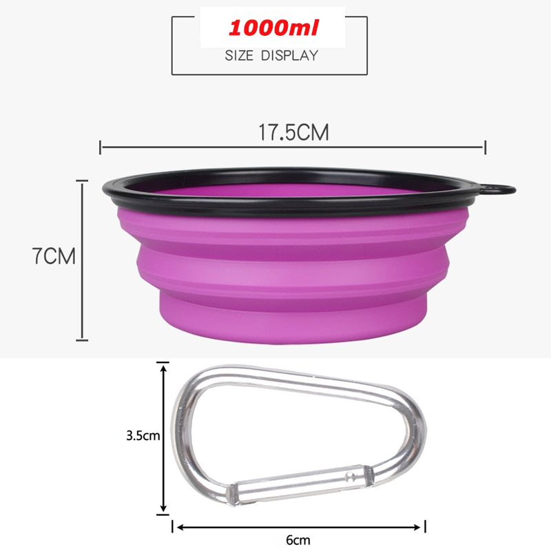 Collapsible Bowl