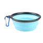 Collapsible Bowl
