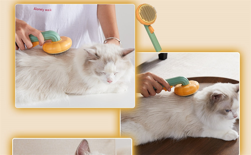 Pumpkin Brush