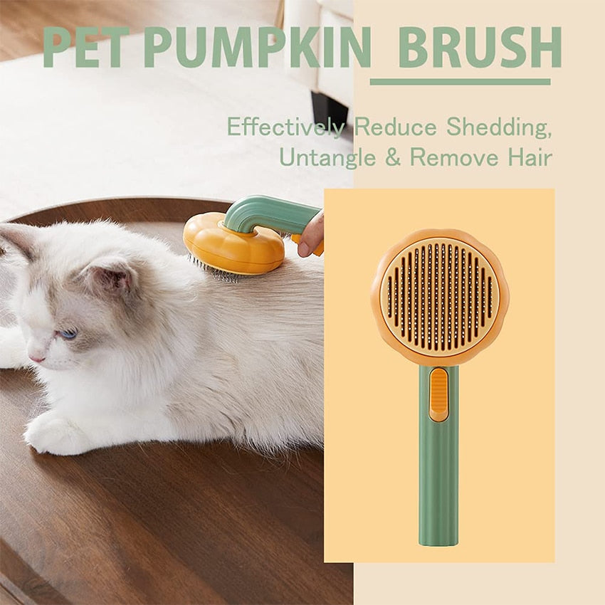 Pumpkin Brush