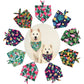 Tropical Themed Bandanas