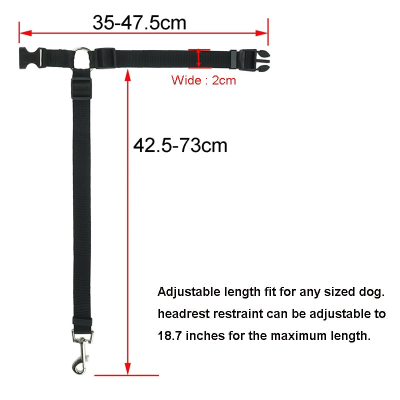 2 in 1 Seatbelt & Leash