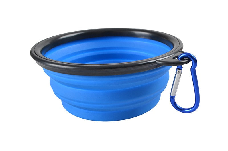 Collapsible Bowl