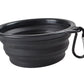 Collapsible Bowl