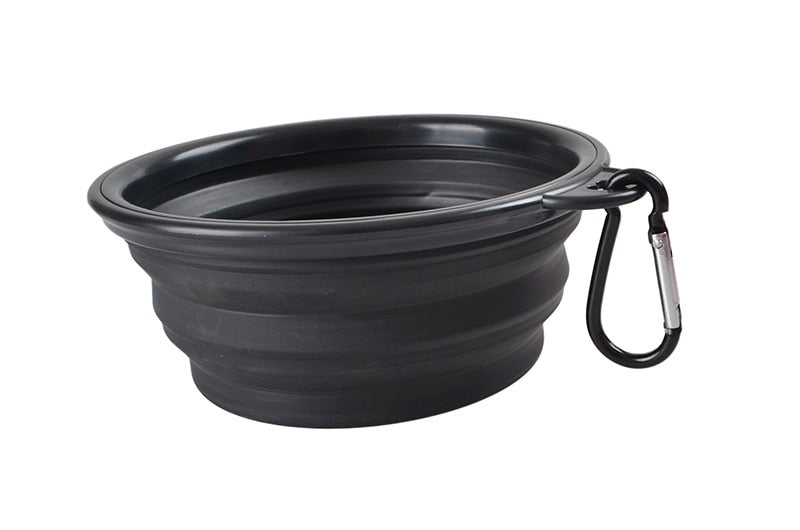 Collapsible Bowl