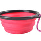 Collapsible Bowl
