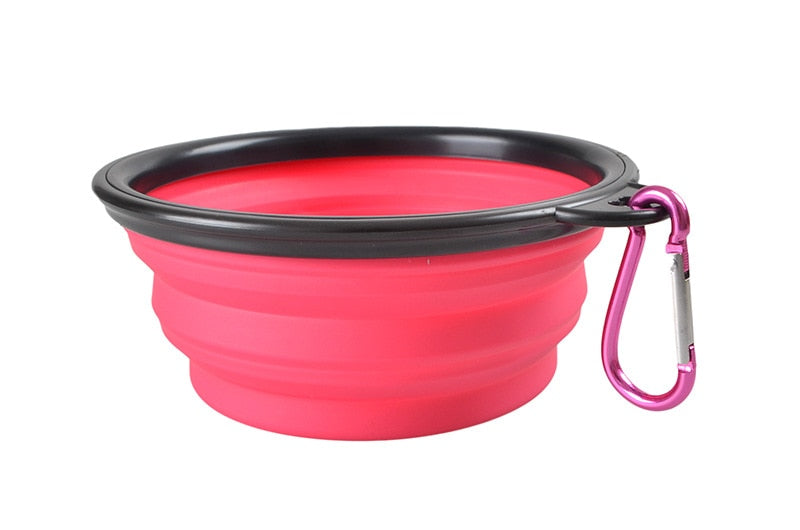 Collapsible Bowl