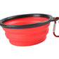 Collapsible Bowl