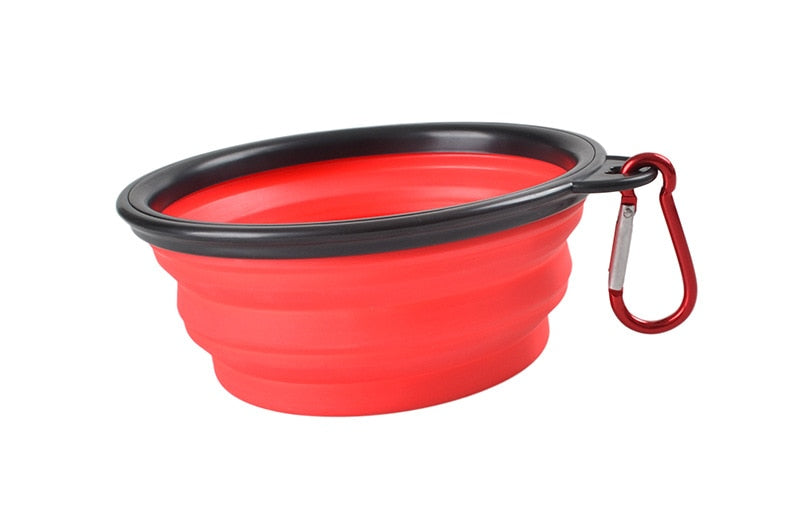 Collapsible Bowl