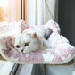 Hanging Window Hammock