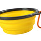 Collapsible Bowl
