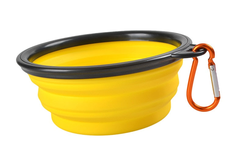 Collapsible Bowl