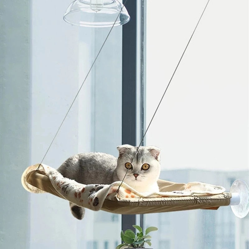 Hanging Window Hammock