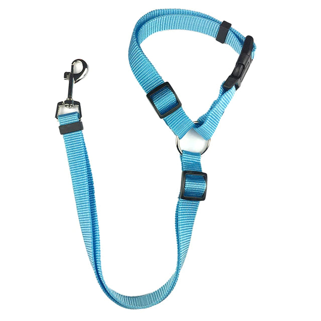 2 in 1 Seatbelt & Leash