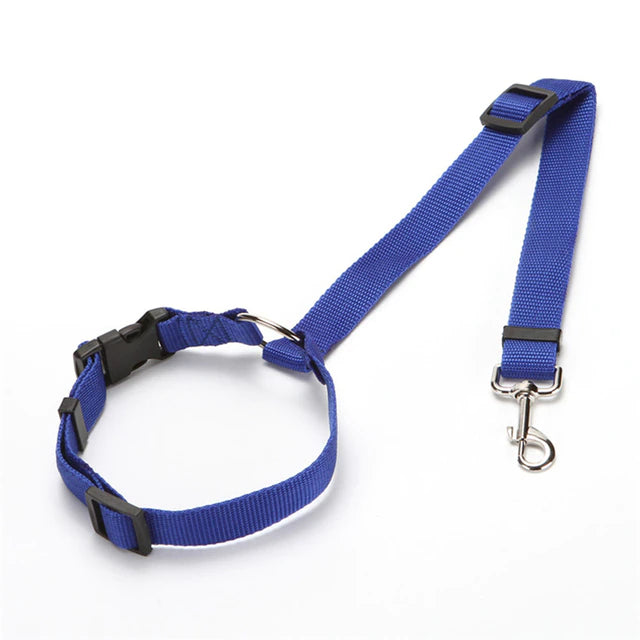 2 in 1 Seatbelt & Leash