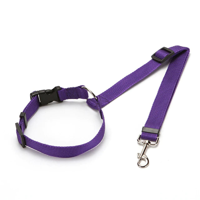 2 in 1 Seatbelt & Leash